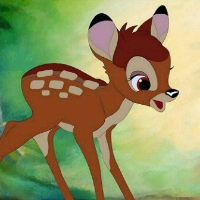 HANUAAAAAAE4BFFAAAdoeEWgAAAAASUVORK5CYII=
