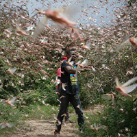 HANUAAAAAAE4BFFAAAdoeEWgAAAAASUVORK5CYII=