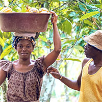 HANUAAAAAAE4BFFAAAdoeEWgAAAAASUVORK5CYII=