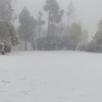 HANUAAAAAAE4BFFAAAdoeEWgAAAAASUVORK5CYII=