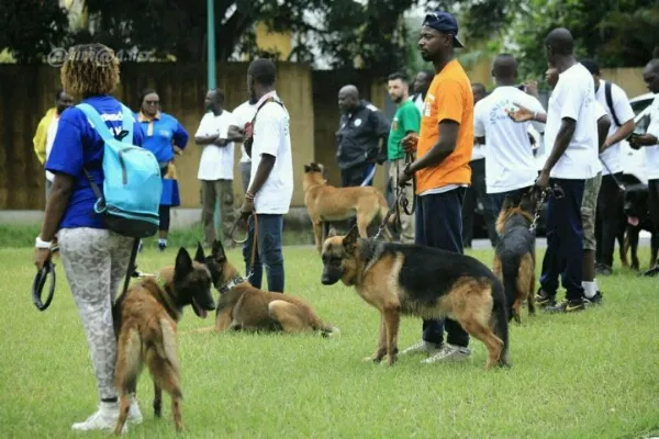 Comite Ami Canin Chien 10 0013 Crop
