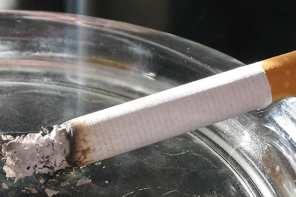 Cigar 600