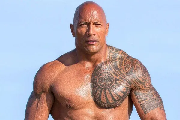 Dwayne Johnson Alias The Rock 2