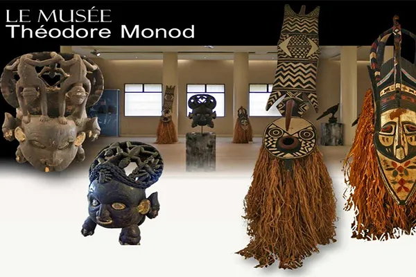 Le Mus&eacute;e Th&eacute;odore Monod De Dakar 1